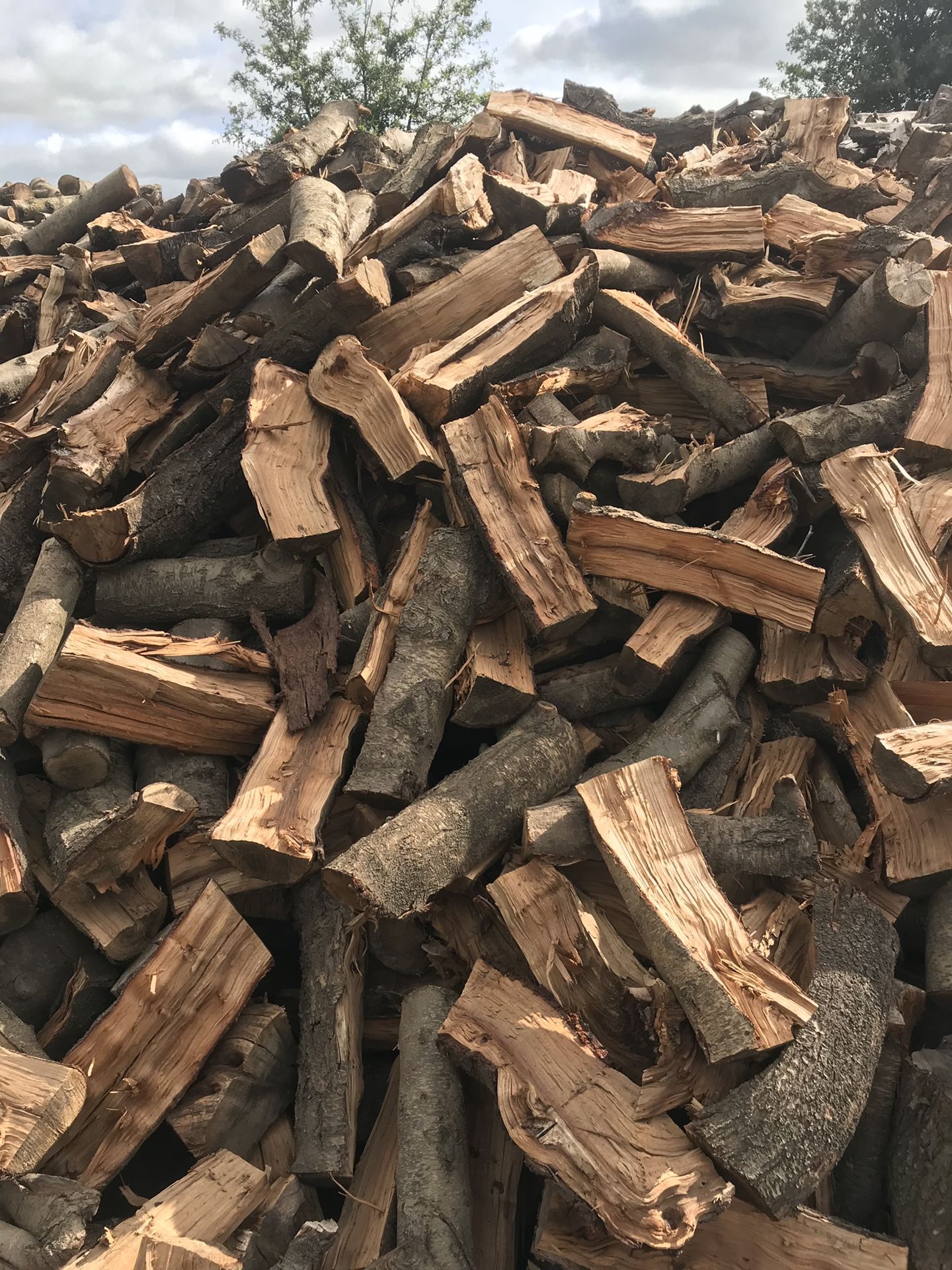 Nice and dry almonds wood