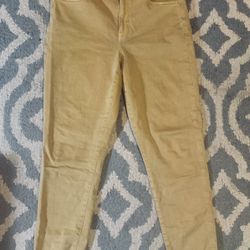 American Eagle Womens Distressed Jegging -size 14