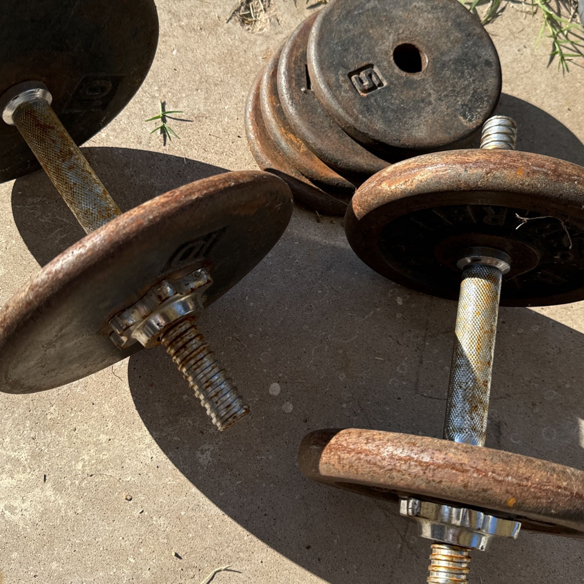 Dumbbells, Free Weight