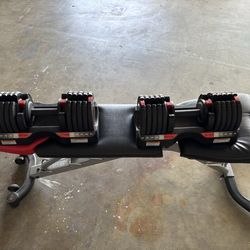 Weider Adjustable Dumbbells