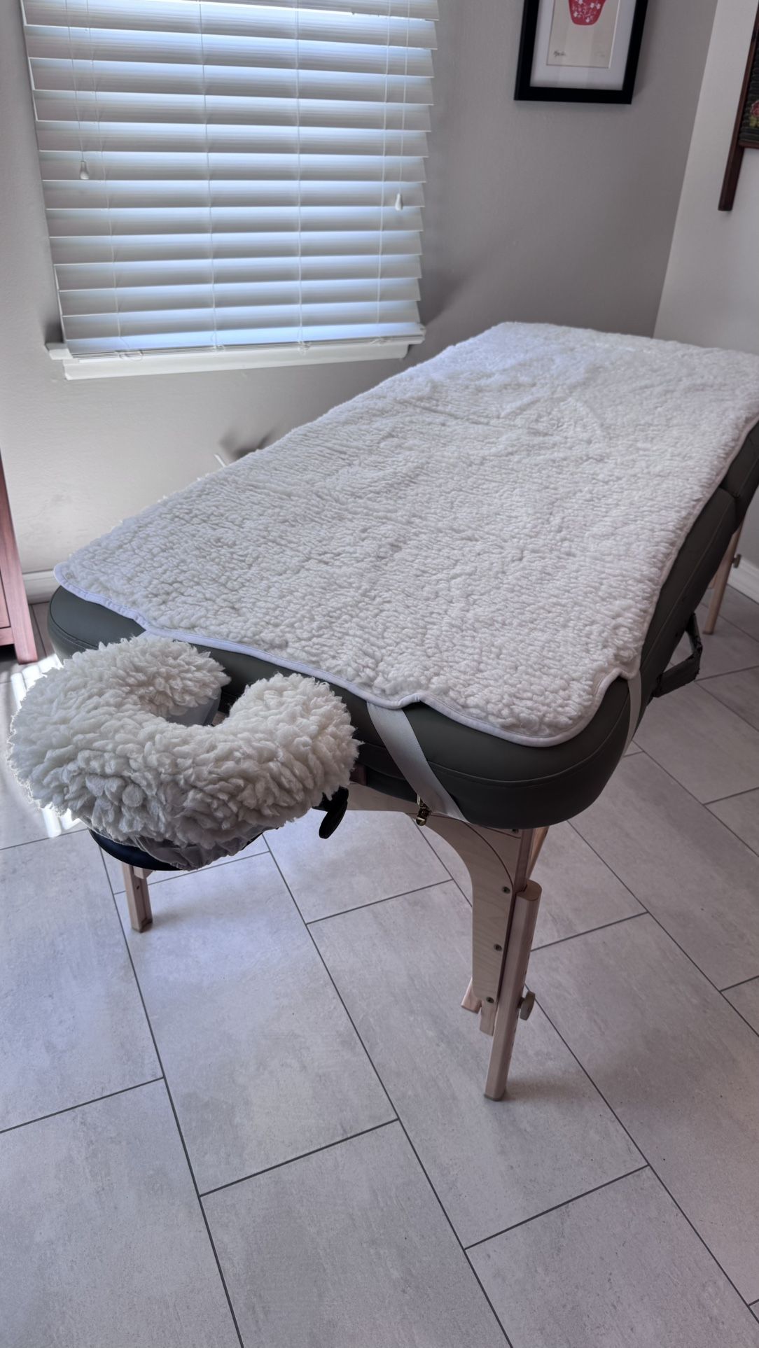 Earthlite Massage Table & Accessories