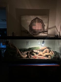 Fish/Reptile Tanks