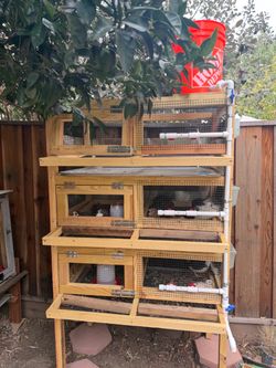 Quail hutch