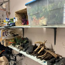 Tropical fish Aquarium Accessories