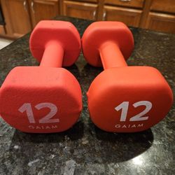 Set of 12 lb  Dumbells