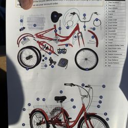 Adult Tricycle