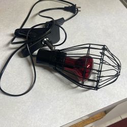 Heat lamp for reptiles