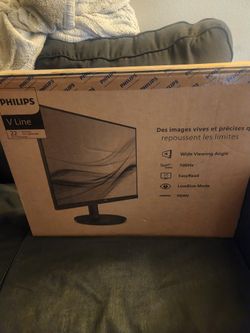 Philips 22' LCD Monitor