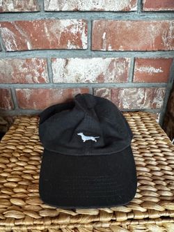 Beangoods brand dachshund dad hat
