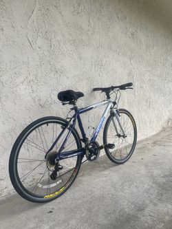 Schwinn Bike