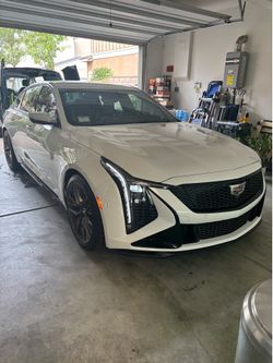 Window film automotive tints