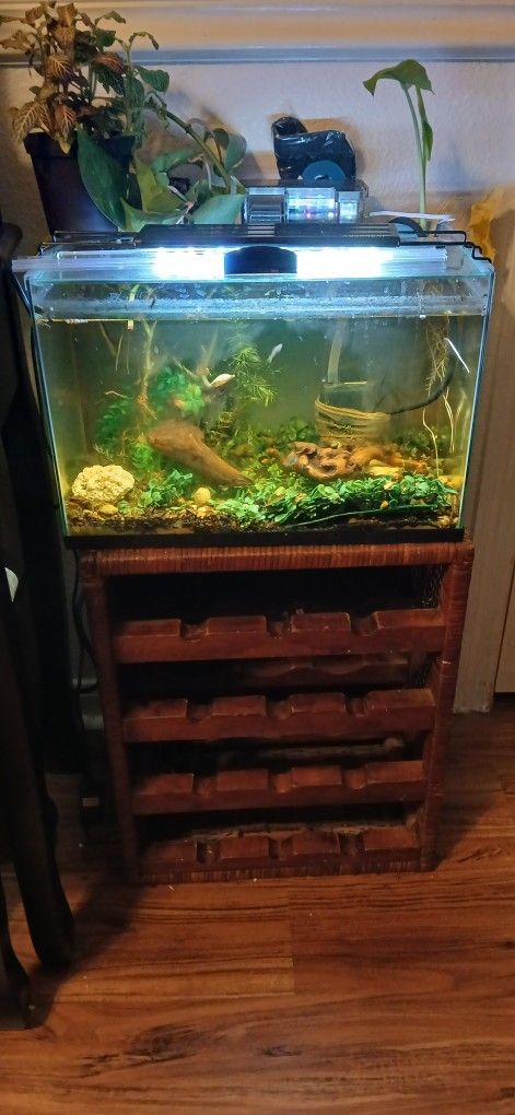 Aquarium-terrarium 