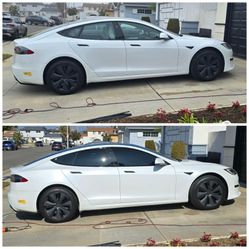 5% Tint