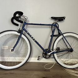Trek Fixed Gear Bike