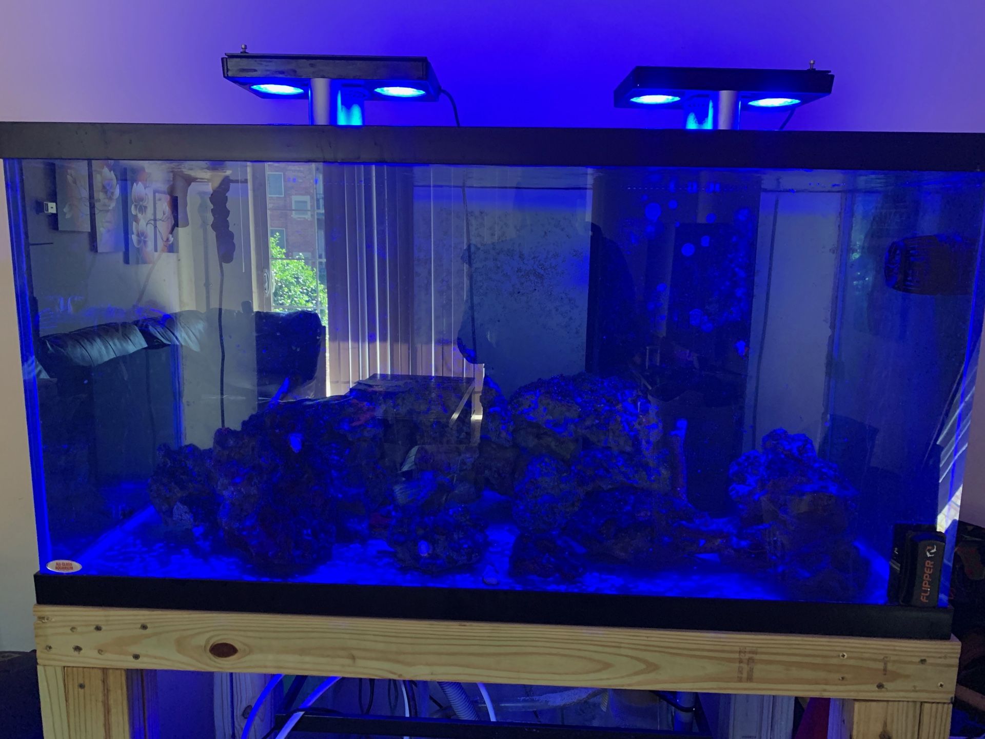 140 gallon reef tank