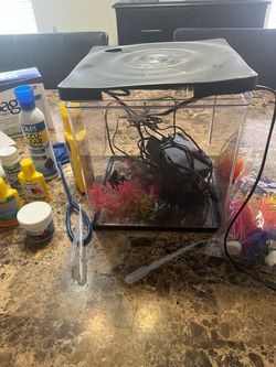 Glofish 5 gallon tank with accessories