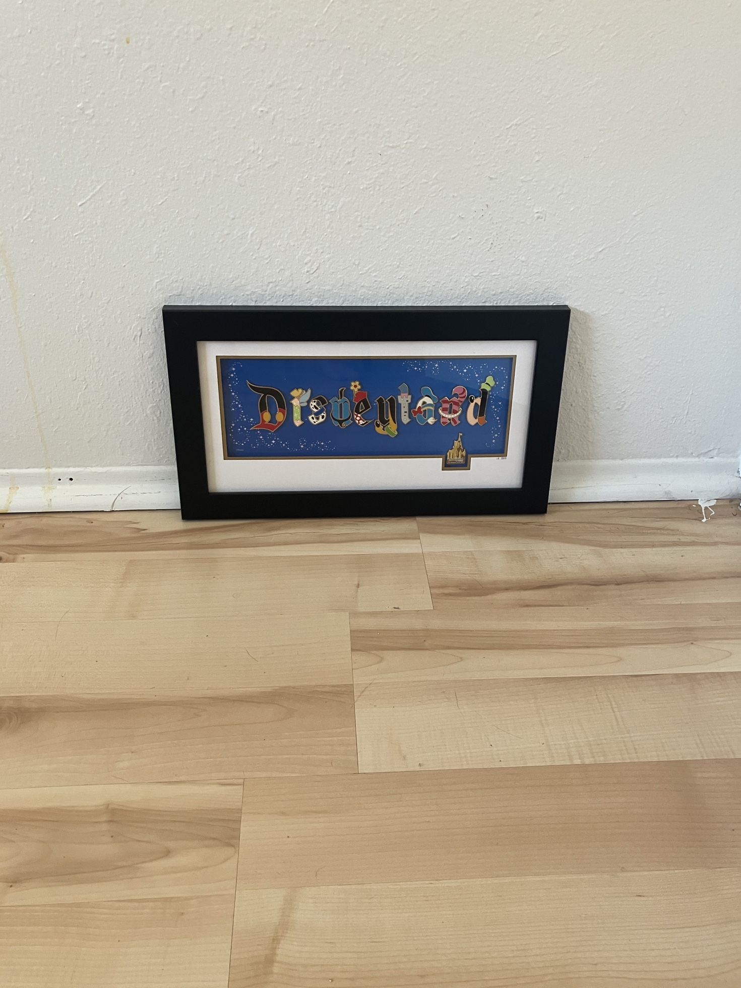 Disney Disneyland Resort Limited Edition Pin Art "Disneyland Gothic Framed Pin Set"