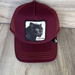 Goorin bros adjustable hat 🧢 Panther