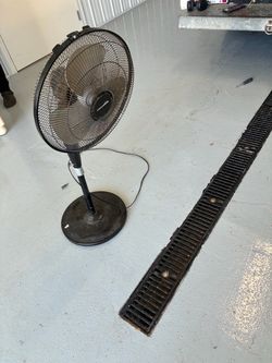 Fan