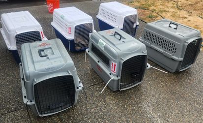 Dog/ Animal Crate Two Hundred Series Please See Description For Information