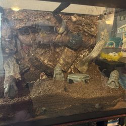 Reptile Tank