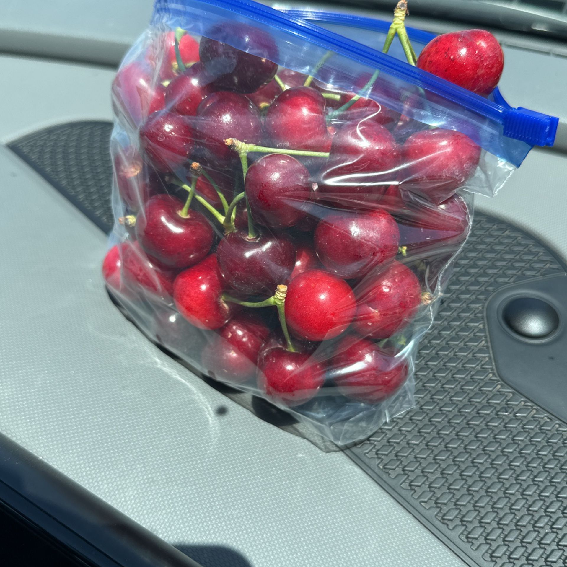 Fresh Picked Cherries 