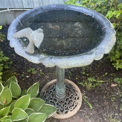 Bird Bath