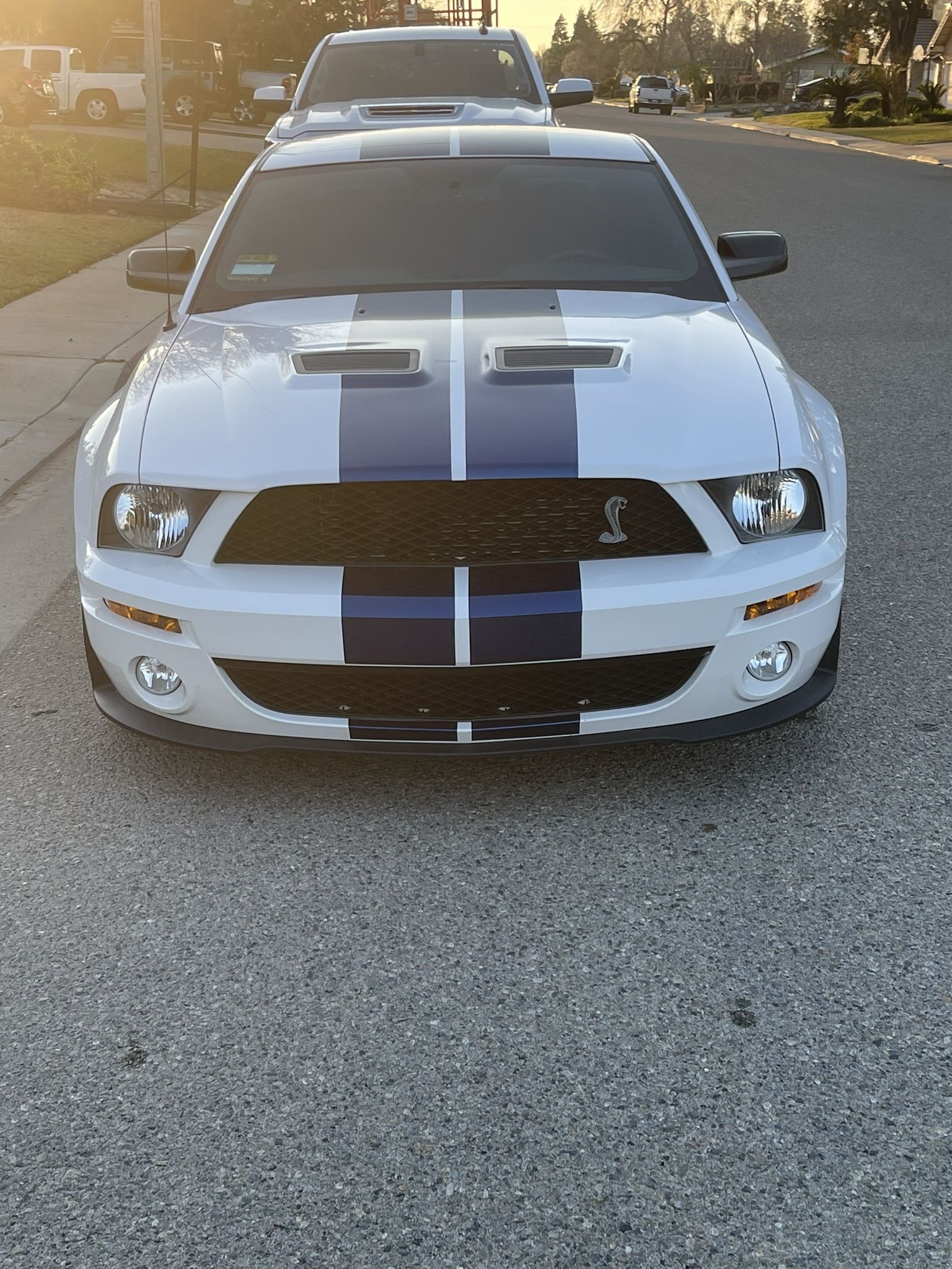 2007 Ford Shelby Gt500