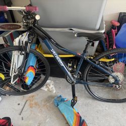 Specialize Ariel Bike