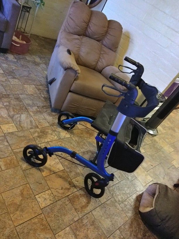 Adult Walker In Good Condition