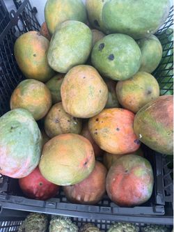 Mango