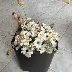 Miscellaneous Dried Flowers - Light Colors