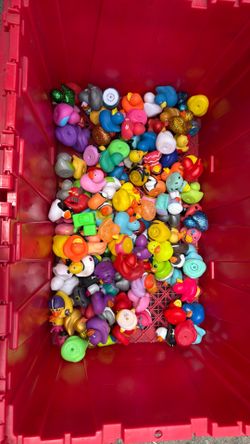 Rubber Ducks