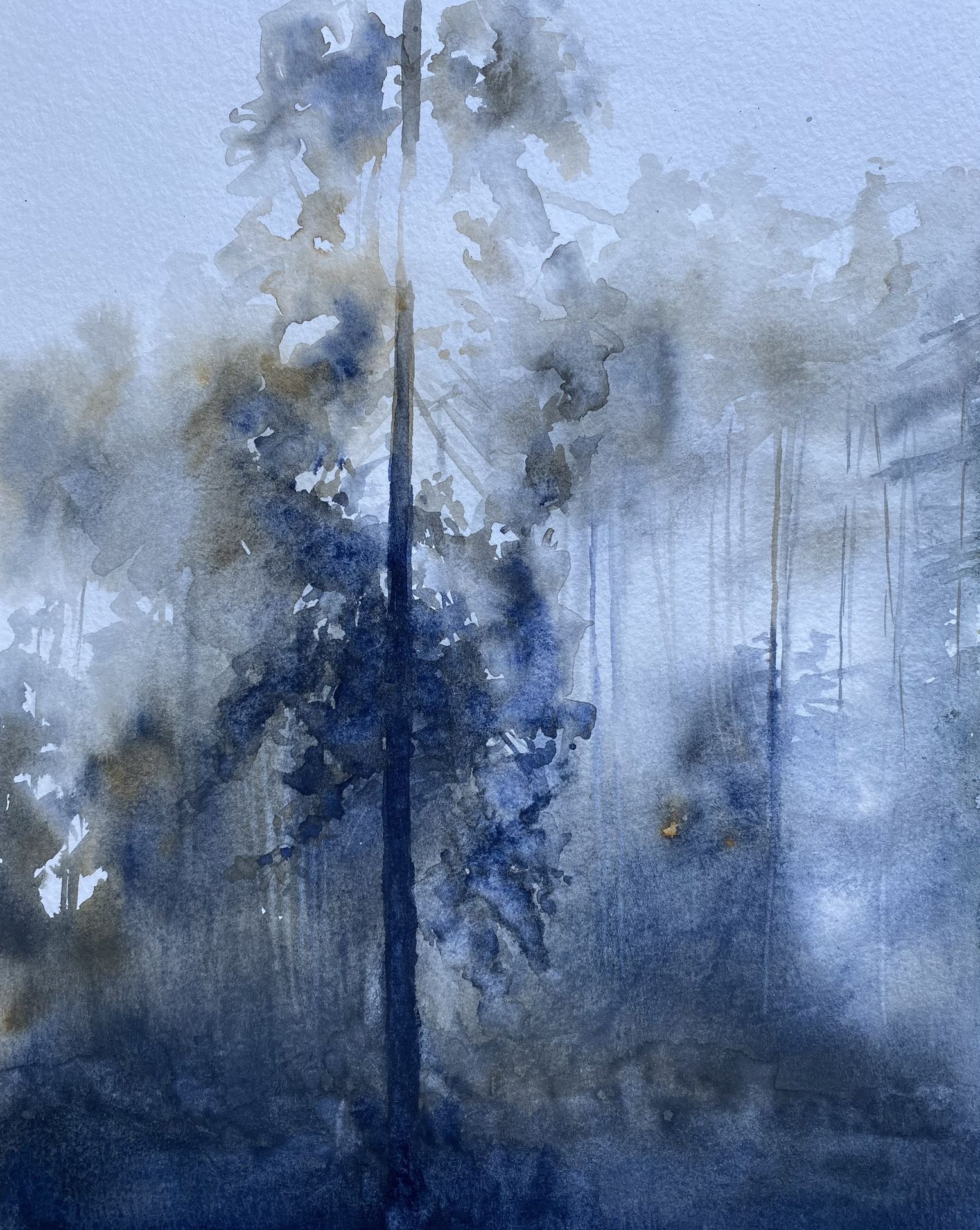 Forest Original Watercolor By Local Artist