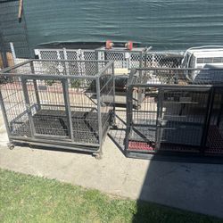 Dog Cages