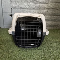 Kennel 