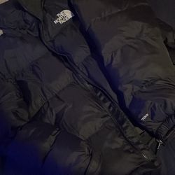 North Face 700 Bubble Puffer 