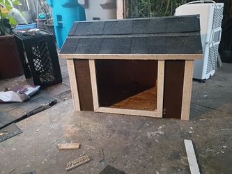 Tortoise shack