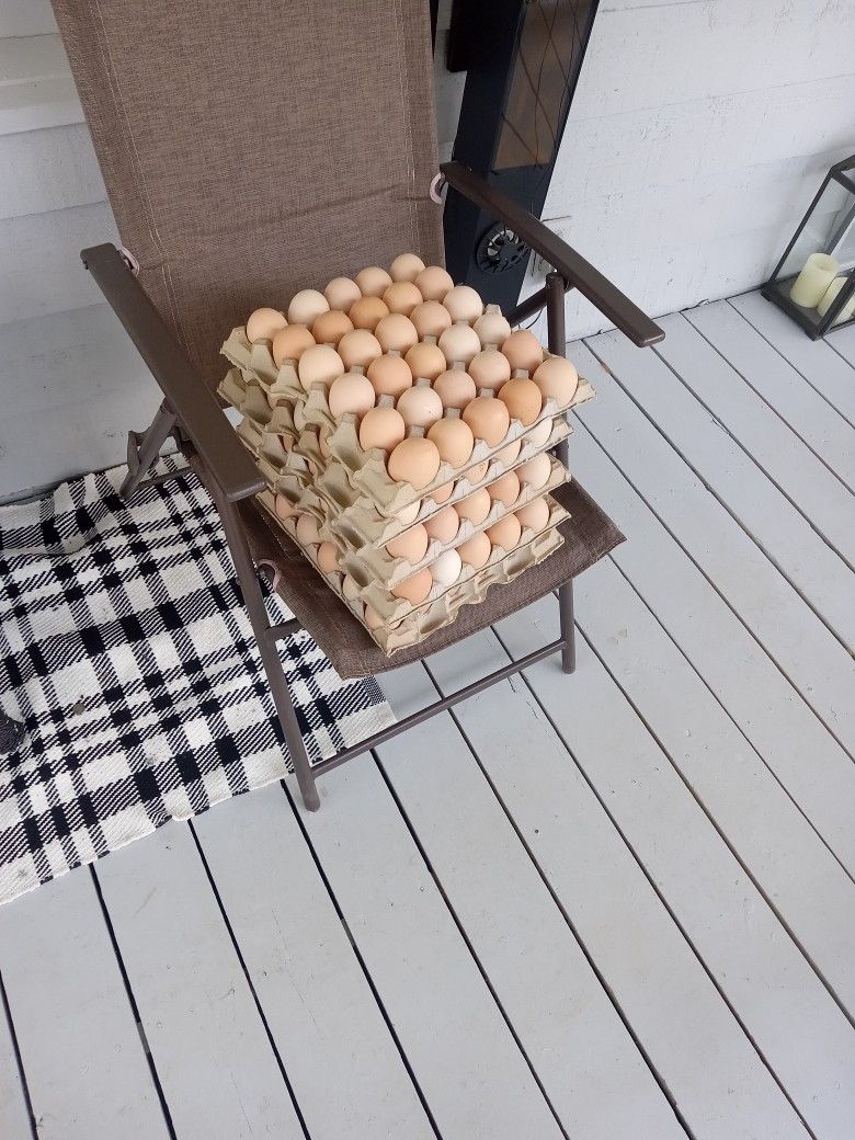 Eggs