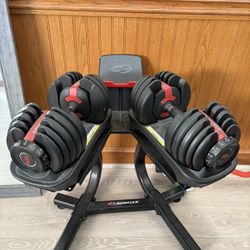 Bowflex Curl Bar, Dumbbells, Bench Set