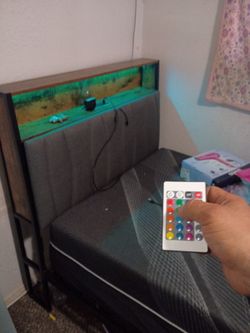 Twin Frame No Mattress