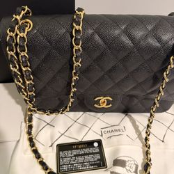 Chanel Hand Bag Le sac Icone