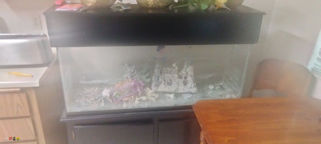Fish Tank And Cabinet