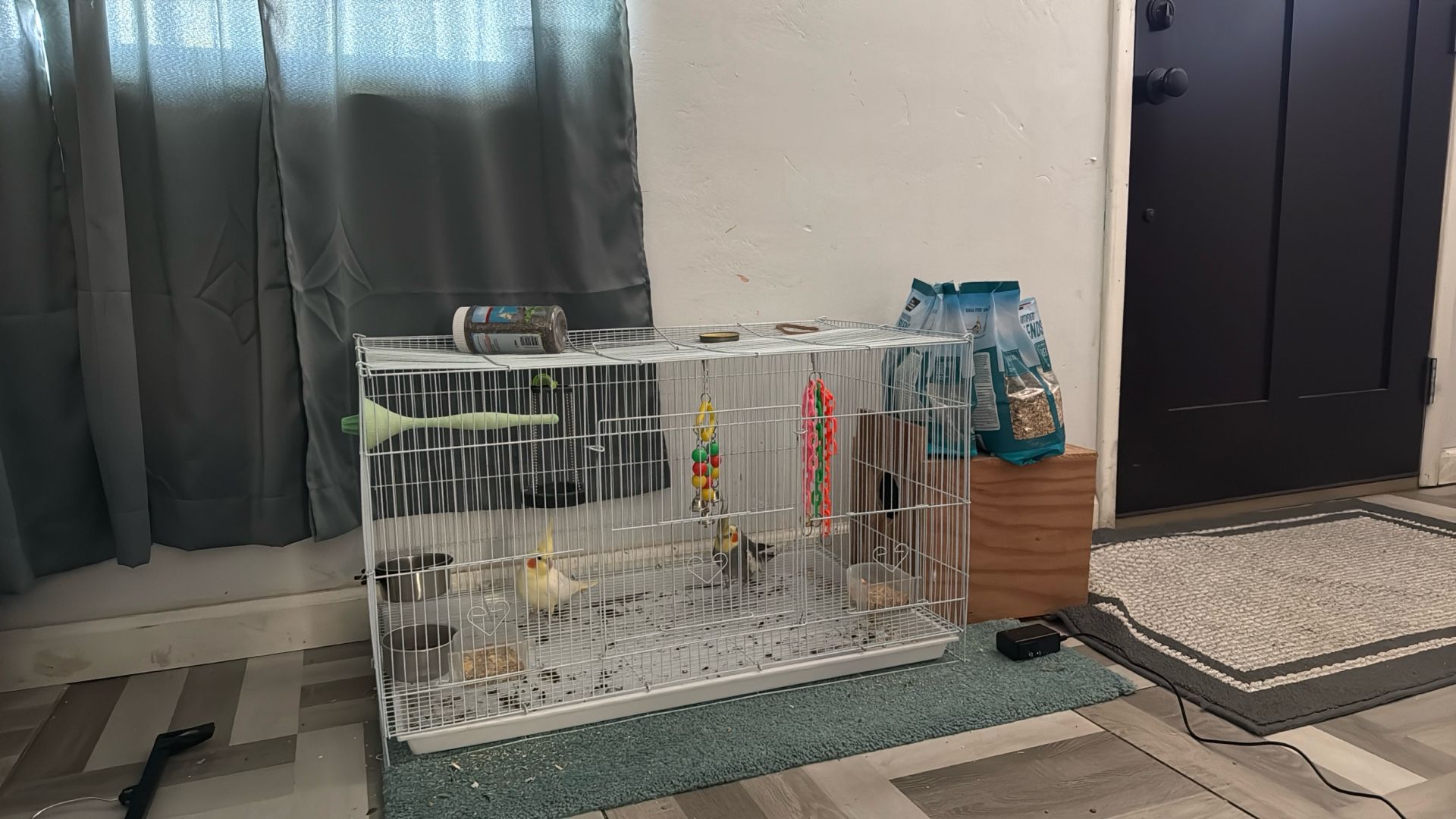 Bird Cage