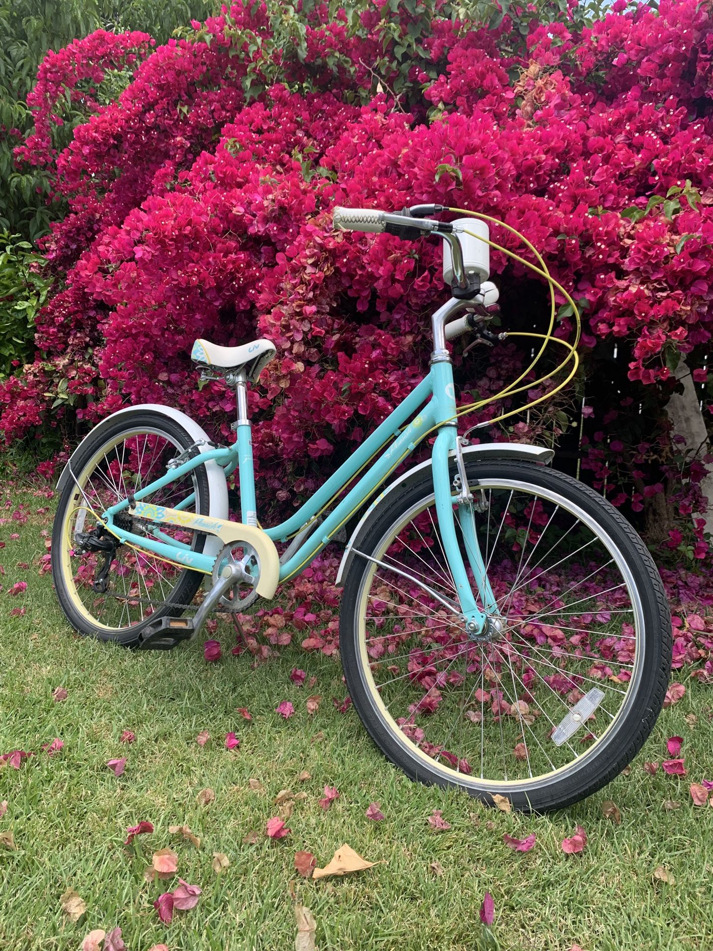 Liv Cruiser 7 Speed Beach Cruiser Bike In Great Shape 24" rims