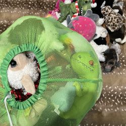 Lots Of Stuffed Animals
