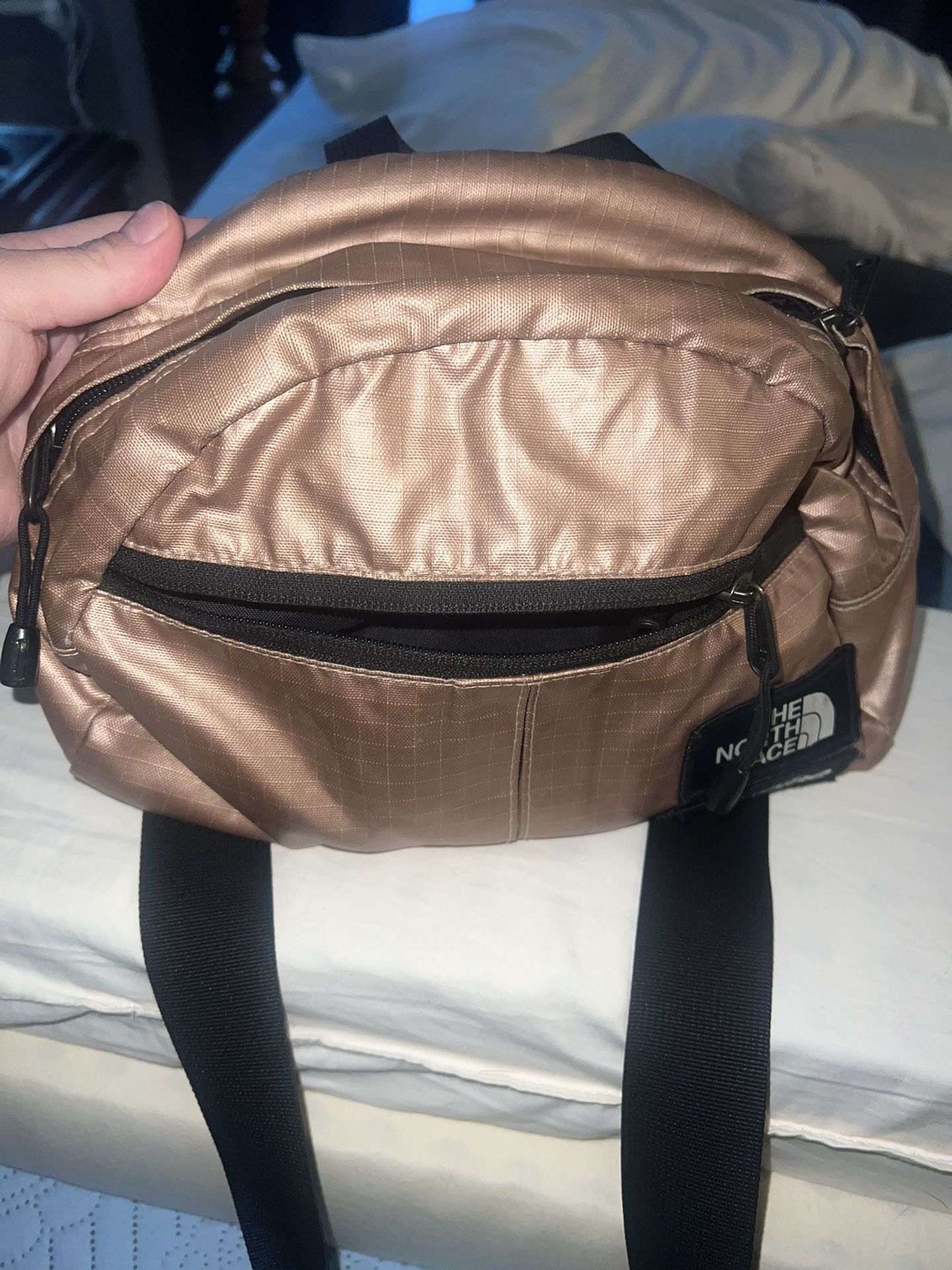 Supreme x North face Metallic lumbar Bag