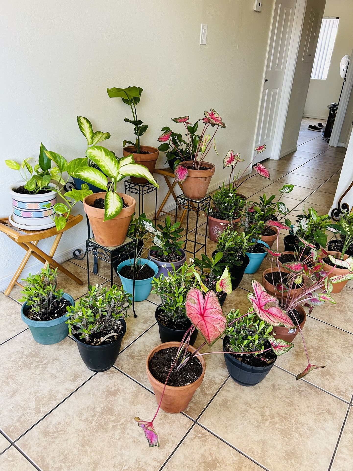 Plans For Sale 20 Each