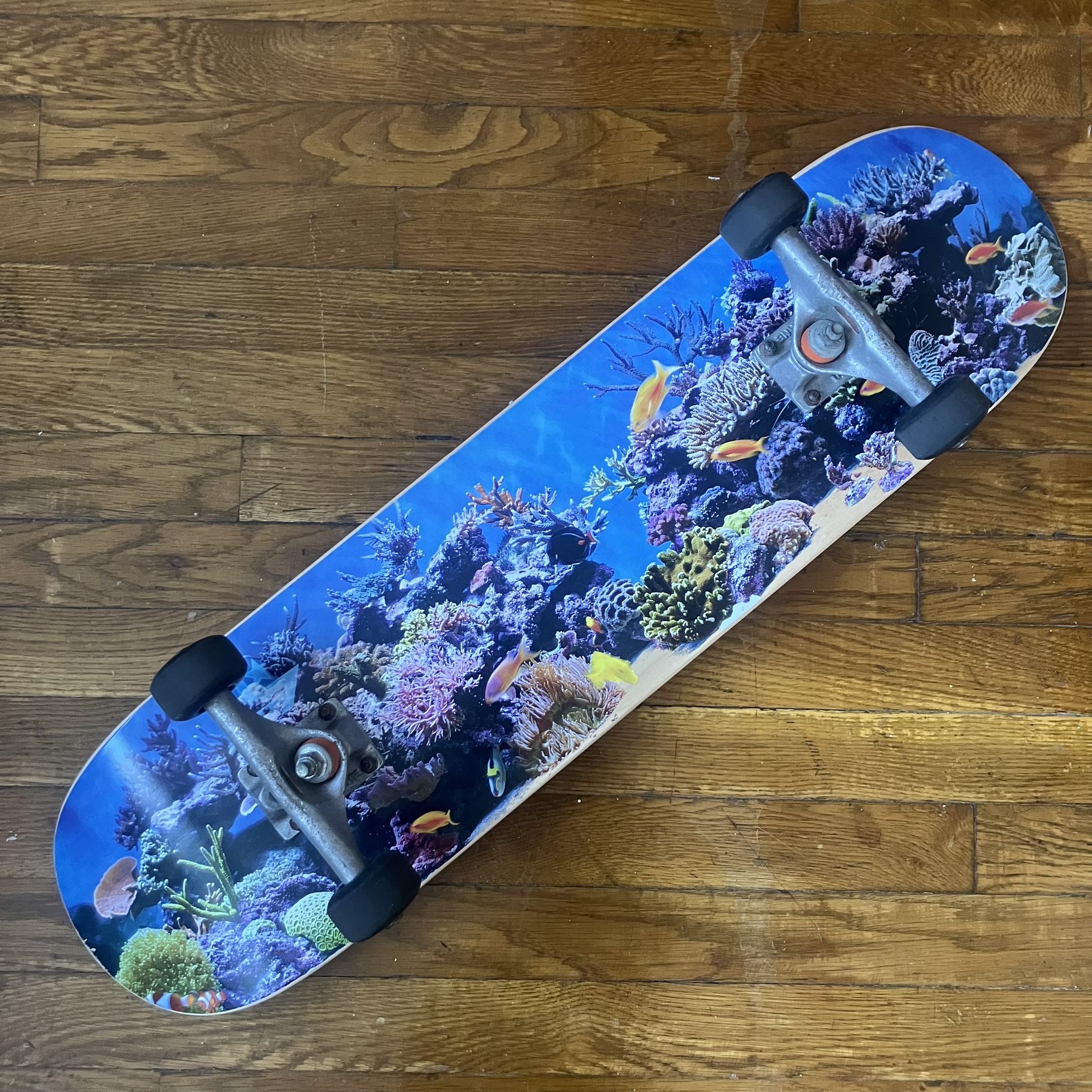 Mini Logo Aquarium 7.75” Skateboard Complete