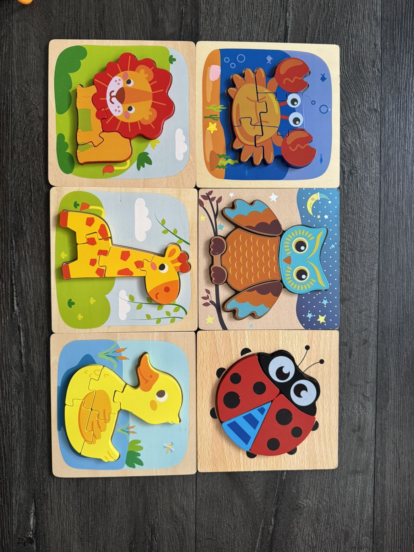 6 Toddler Puzzles 